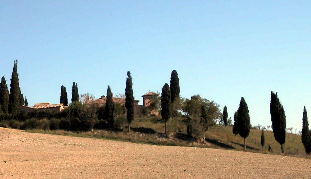 Castello Di Leonina Relais - Adults Only Hotel Siena Exterior photo